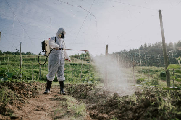 Best Best Pest Control Companies  in Winnsboro Mills, SC