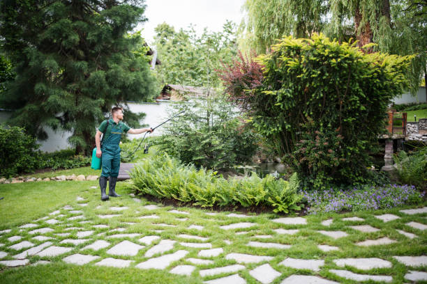 Best Affordable Pest Control Services  in Winnsboro Mills, SC