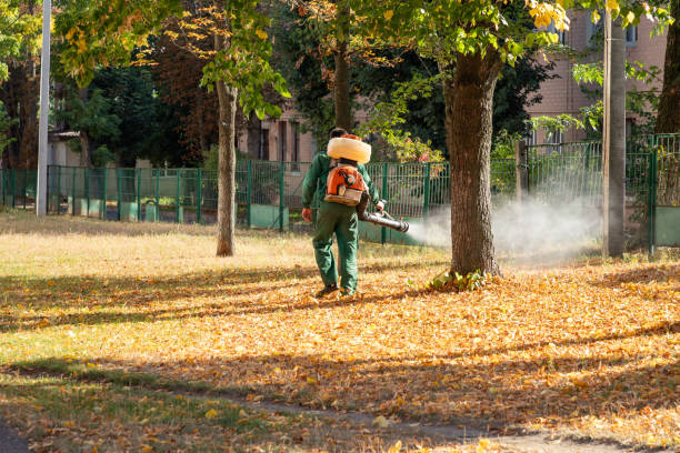 Best Local Pest Control Services  in Winnsboro Mills, SC