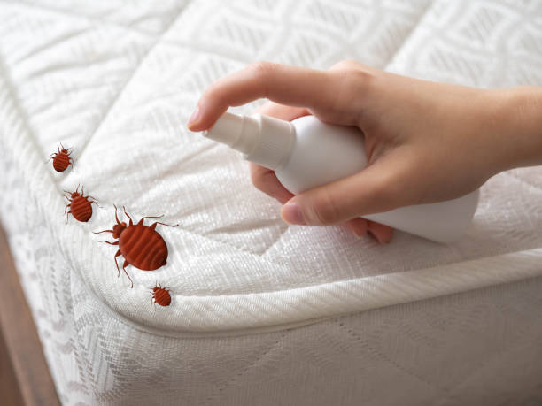 Best Best Pest Control Companies  in Winnsboro Mills, SC