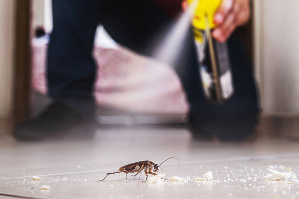 Best Exterminator Services  in Winnsboro Mills, SC