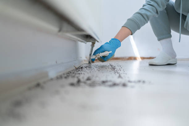 Trusted Winnsboro Mills, SC Pest Control Experts