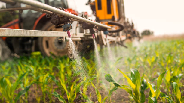 Best Mosquito Control Services  in Winnsboro Mills, SC
